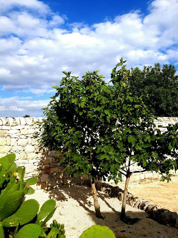 Masseria Ciancio Casa Serrafiori Εξωτερικό φωτογραφία